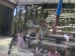 -贵州森林野生动物园