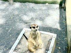 -水上乐园·欢乐世界