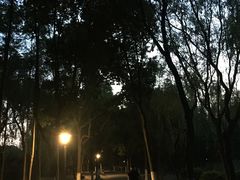 -昆山城市生态森林公园