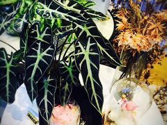 -木棉花开(中心城店)