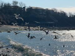 -银沙滩浴场
