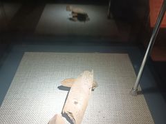 -王府井古人类文化遗址博物馆