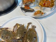 -苏格里岛自助海鲜烤肉(中州万达店)