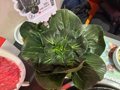-巴蜀大将火锅(春熙店)