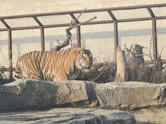 -祥源·阜阳生态乐园