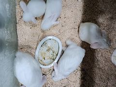 -上海大自然野生昆虫馆