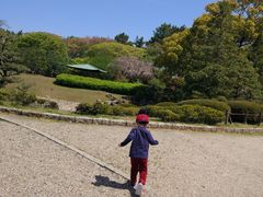 -名古屋城