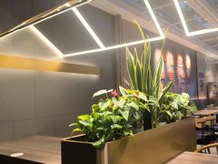 -康师傅私房牛肉面(新昌北机场店)