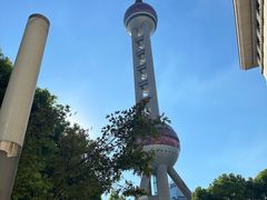 -上海海洋水族馆