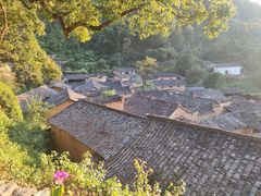 -杨家堂村