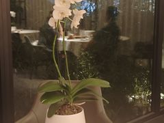 -蘇锦宴·淮扬菜烤鸭·小院(三元桥霄云路店)