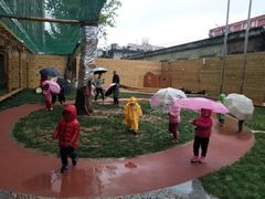 -世纪飞马幼儿园(西城校区)