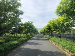 -帐篷客·溪龙茶谷度假酒店