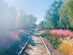 -永定河休闲森林公园