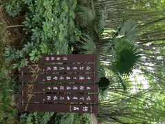 iphone_upload_pic-望江楼公园