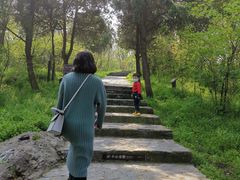 -巢湖姥山岛