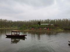 -合肥滨湖国家森林公园