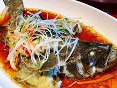 清蒸石斑鱼-根艺饭铺(二十年老店)