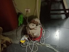 -古陶文明博物馆