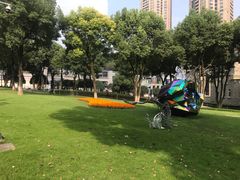 -重庆市江北嘴中央商务区中央公园