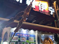 -新疆伊宁远征餐厅