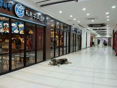 -好久不见网红乐队酒吧(鼓浪屿海底世界店)