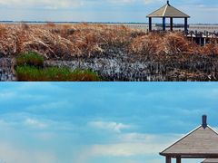 -哈素海