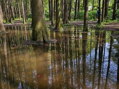 -共青国家森林公园-售票处