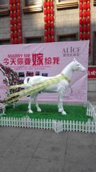 -爱丽丝珠宝(亚泰富苑店)