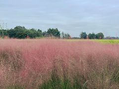 -中国天府农业博览园