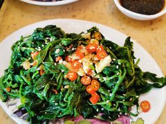 凉拌桑叶-芳村榕树头叹佬鸡煲(体育西店)