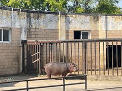 -合肥野生动物园