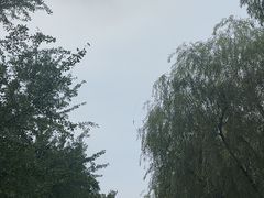 -重庆园博园