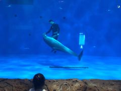 -华夏文旅海洋公园