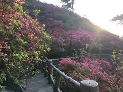 -木兰云雾山