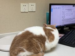 -安安宠医宠物医院·异宠·犬猫内科(岳阳分院)