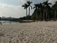 -南宁花花大世界景区