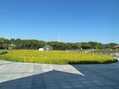 -MUSEO COFFEE咖啡博物馆