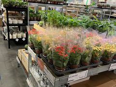 -宜家家居(哈尔滨商场店)