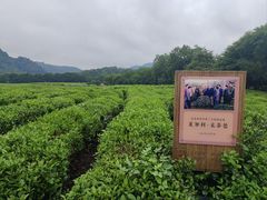 -中国茶叶博物馆(双峰馆区)