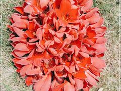 -中国移动南方基地