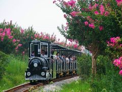 -武汉紫薇都市田园