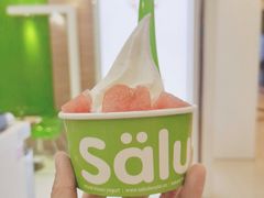 -Salud撒露欧洲冻酸奶(蓝色港湾店)