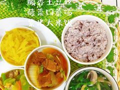 -惠洛克国际儿童之家(绿博园中心)