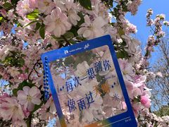 -南翠屏公园