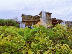 -呀路古热带植物园