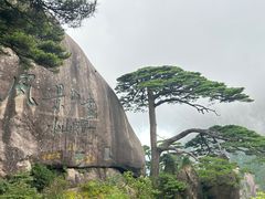 -黄山风景区