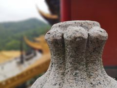 -东莞市大岭山森林公园