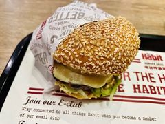 -The Habit Burger Grill 哈比特汉堡(爱琴海店)