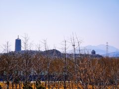 -永定河休闲森林公园